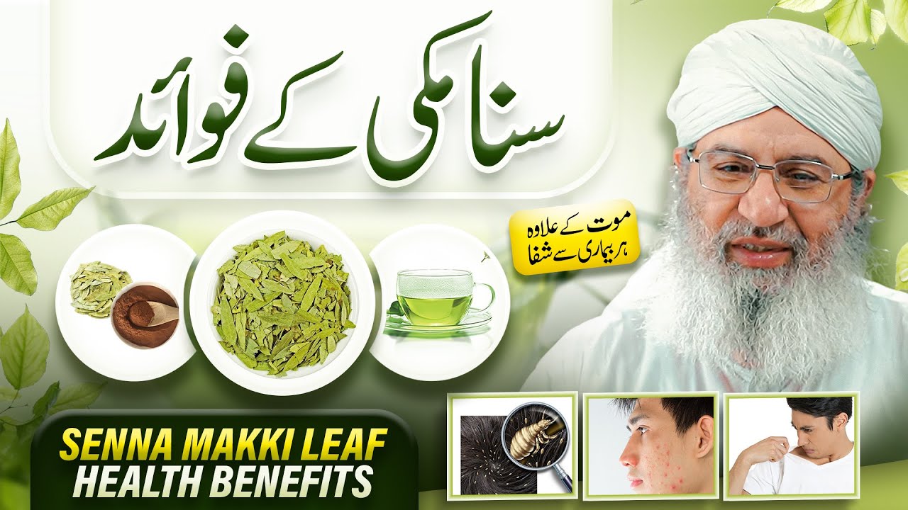 Har Bimari Say Shifa | Sana Makki Ke Fawaid | Sana Leaves Benefits | Health Benefits | New Video